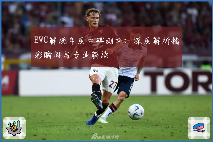 EWC解说年度口碑测评:深度解析精彩瞬间与专业解读