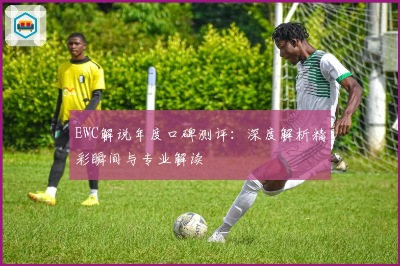 EWC解说年度口碑测评：深度解析精彩瞬间与专业解读